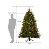 National Tree Company 2.3m Dunhill Shimmer Fir Pre-Lit Christmas Tree 112_NATDU75