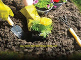 Landscaping9-PieceSet V1221-9-PIECEGARDENINGSET