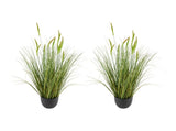 Artificial Grass, 2 Pack 889mm Cattail Grass in Pot, Premium PVC Faux Fake Greenery Shrubs V952-DPKXPLWCLS35CCHPH001V0