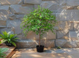 Potted Artificial Enkanthus Shrub 193cm V637-84521ENK