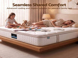 Giselle 30cm Double Spring Mattress Tencel Cover 5-Zone Firm Back Support MATTRESS-B-SONNO-30-D