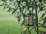 Iron Cage Bird Feeder Metal Bird Food Dispenser Hanging Feeding Column V1294-YM0717-10077407