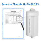 Aimex Portable Water Filter - Gravity-Fed, 304 Stainless Steel, Fluoride Removal V502-AIMEXSSGRVTFDCH