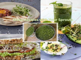 9" Stackable Stainless Steel Seed Sprouting Kit, 3-Tier Mesh Germination Tray, Sprout Grower with V1259-DP01-A-872