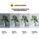 12 Two-Colour Dimmable Ring Fill Light With Tripod - 28W 100-240V V562-0963PCM