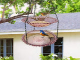 Squirrel Proof Bird Feeder With Large Capacity For Outdoor Garden Wild Bird Watching And Attracting V1369-AZ3-W-25186