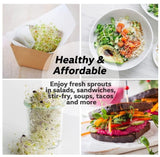 32oz Wide Mouth Mason Jar Sprouting Kit - Glass Jars with 316 Stainless Steel Mesh Lids, V888-ELOSUNG55437