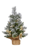Christabelle 2ft Christmas Tree with Lights - Potted Frosted Colonial 112_NATFC2