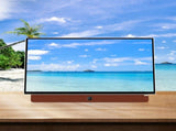 SKYWORTH 24-Inch 12V Portable TV,3-Hour Battery,1080P FHD,Wide Viewing Angle,Smart Google TV, HDR10, V1398-24LP60G