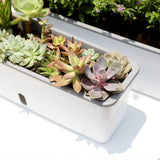 Rectangular Self Watering Planter, Plastic Window Box Planter with Water Level Indicator, Long V1366-AZ2-W-19709