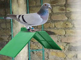 10PCS Dove Rest Stand Plastic Pigeons Bird Stand Perches Nonslip Pigeon Bird Perch Bird Holder V1294-YM0717-10077566