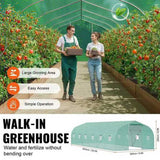 Walk-in Tunnel Greenhouse, 29.5x9.8x6.6 ft Hoop House Greenhouse Tunnel, Peaked Roof Plant Hot House V952-SDXWS30X10X7FTY13V0