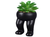 3PCS Artificial Succulent Plants in Ceramic Pots Modern Cute Human Shaped Decorative Fake Succulents V1294-YM0901-3115240022311