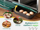 i.Pet Chicken Nesting Box Roll Away Metal Nesting Box Wall Mounted 6 Holes Green PET-CHICK-BOX-6H-EL-GN