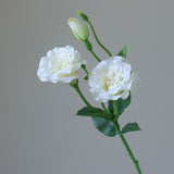5PCS Artificial Silk Fake Eustoma Flowers Long Stem Lifelike Flowers for Wedding Party Home Decor V1294-YM0901-240821HL01-3