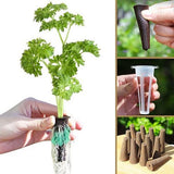 Hydroponics Plant Growing System 12 Pods Indoor Herb Garden Kit Led Light 4L WHITE V201-FDZ2412WH8AU
