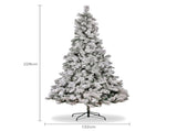 Christabelle 2.3m 7.5ft Snowy Dorset Pine Christmas Tree Pre Lit Multi Function LED Lightly Flo 112_WFLSD75