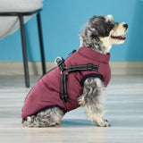 Warm Dog Jacket, Snowproof Windproof Waterproof Dog Winter Coat for Cold Weather - Soft Fleece V1189-WXFWAL-20260319-00401