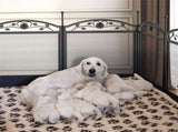 HeavyDuty Metal Dog Playpen w/ Waterproof Border V178-66735