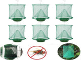 6 Pack Ranch Fly Trap, Hanging Fly Catcher, Effective Trap Ever Made with Pots, Cage Catcher for V1192-AZ-W-21119