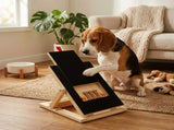 CARLA HOME Dog Nail Scratch Board with Snack Box, Height Adjustable Puppy Nail Pet V178-36570