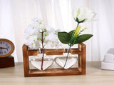 2Pcs Coffee Glass Vase with Wooden Stand Hydroponic Plant Planter for Home Decor and Storage V1369-AZ3-W-15886