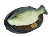 Singing Fish Decoration - Green with Square Base V1192-D58