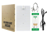Plant Lamp LED Succulent Fill Light 50W Full Spectrum Plant Grow Light Quantum Plate V1294-YM0901-L6913US-2