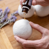 Eco Friendly Laundry Bundle | Pegs & Dryer Balls V573-ECOLNDB