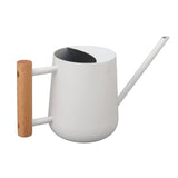 Watering Can 900ml Stainless Steel Long Spout Wooden Handle Elegant Flower Watering Pot for Garden V1294-YM0706-3111230174011