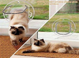 Cat Door with 4 Way Locking Transparent Flap Easy Install Suitable for Cats and Dogs Secure Flap See V1366-AZ2-W-04509