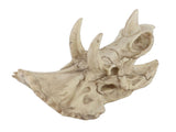 Resin Dinosaur Triceratops Skull Model Simulated Skeleton Home Office Display Decorative Craft V1294-YM0901-JY06511