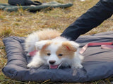 High-Quality Pet Portable Moisture-Proof Mattress, 120x80cm Large Size, Foldable for Storage, V1232-GGLYC005