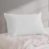 Pure Silk Pillow Case by Royal Comfort-Silver ABM-204835