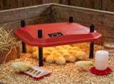 CARLA HOME Chick Brooder Heating Plate - Adjustable Height - Red - Chicken Heater V178-36540