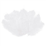 200 Pieces White Natural Ostrich 20-25cm Wedding DIY V1366-AZ2-W-15877