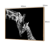Yezi Animal Wall Art Canvas Modern Abstract 80120cm Framed Artwork Home Decor DECO1039-P2-80X120-AU