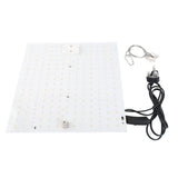 Full Spectrum LED Plant Grow Light Home Succulent Color Indoor Green Plant Flower Replacement Lights V1294-YM0901-L6915UK-2