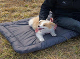 High-Quality Pet Portable Moisture-Proof Mattress, 120x80cm Large Size, Foldable for Storage, V1232-GGLYC005