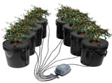 DWC Hydroponics Grow System Deep Water Culture 8 Buckets with Air Pump V952-SSSPXTYX8110VT55FV3