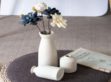 Ceramic Set of 3 Modern White Vases for Home Dcor V178-36902