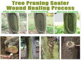 3Pack 100g Tree Wound Sealer, Tree Pruning Sealer, Tree Grafting Supplies, Tree Wound Sealer Healing V1107-119-51428-GRN-3PACK