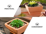 Set of 5 Terracotta Clay Flower Pots, Mini Thickened Plant Nursery Containers for Indoor and Outdoor V1370-AZ4-09983