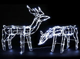 Jingle Jollys Christmas Lights 2 Pcs Reindeers 200 LED Decorations XMAS-MOT-2DEERS-MOV-WH