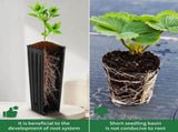 50 Pcs 12" Tall Tree Pots Plastic Deep Nursery Pots Tall Nursery Tree Pots Plant Deep Seedling Pots, V1258-DP02-WO-410