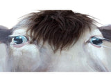 Horse Mugshot w Artificial Hair Framed Canvas Wall Art 60cm V637-95203HRS