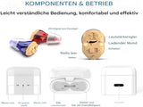 Hearing aids, wireless charging hearing aids, hearing aids with magnetic charging case, dual-channel V1188-MS-313-0020