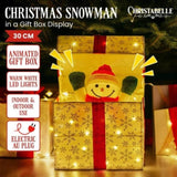 Christabelle Animated Snowman in a Gift Box LED Christmas Tree Decoration Ornament Lights Xmas 112_SHE102