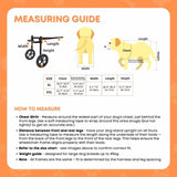Rooster Farms Large Dog Wheelchair XXL Harness - Adjustable Back Leg Aid V238-SUPDZ-41121798062160