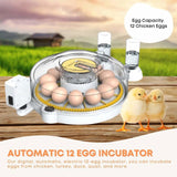 Automatic 12 Egg Incubator - Electric Digital Turning Chicken Quail Duck Hatching V238-SUPDZ-41052083978320